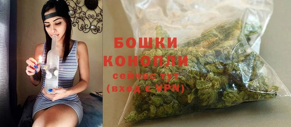 эйфоретик Беломорск