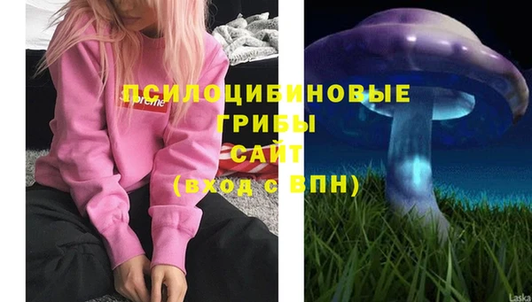 дмт Белоозёрский