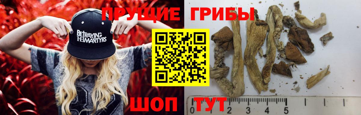 Вязники  Галлюциногенные грибы Psilocybine cubensis  Галлюциногенные грибы мухоморы  Вход с VPN 